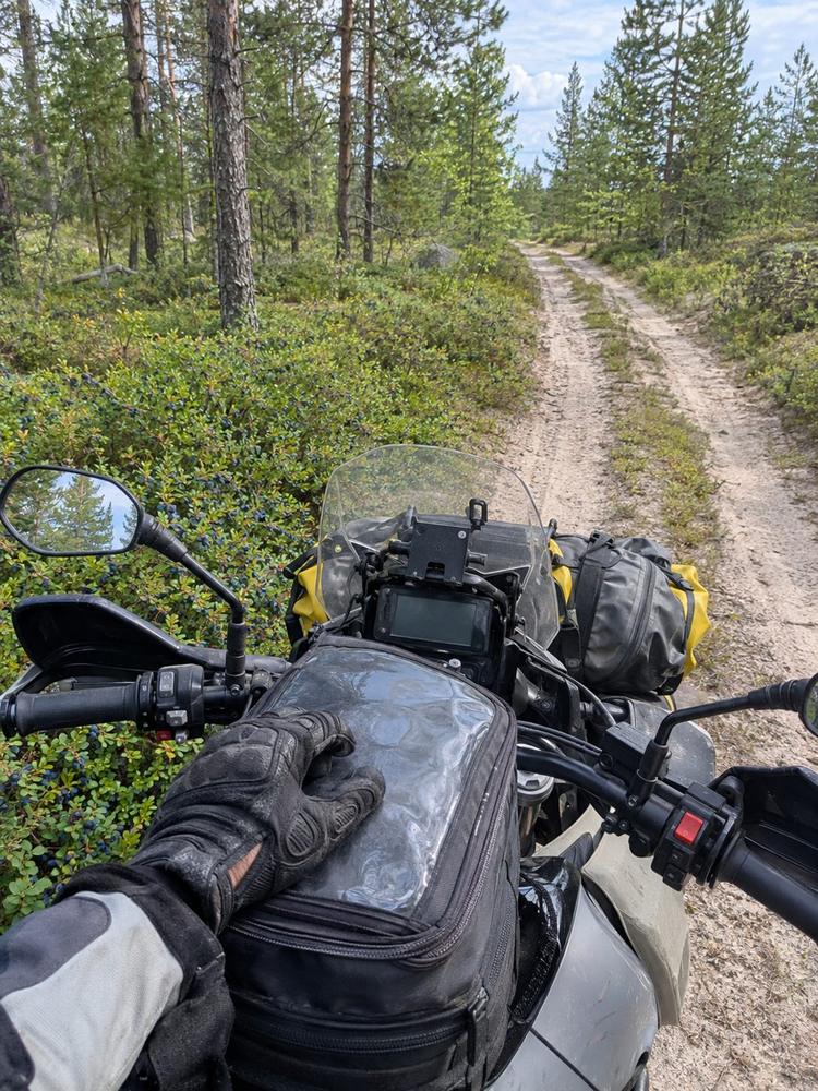 Rider's view over the handlebars down a sandy two-track forest road